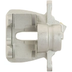 Jarrusatula sopii Citroen