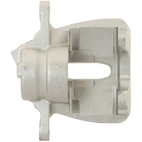 Jarrusatula sopii Citroen