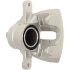 Jarrusatula sopii Citroen