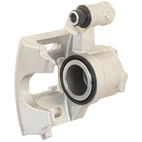 Jarrusatula sopii PSA