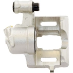 Jarrusatula sopii PSA