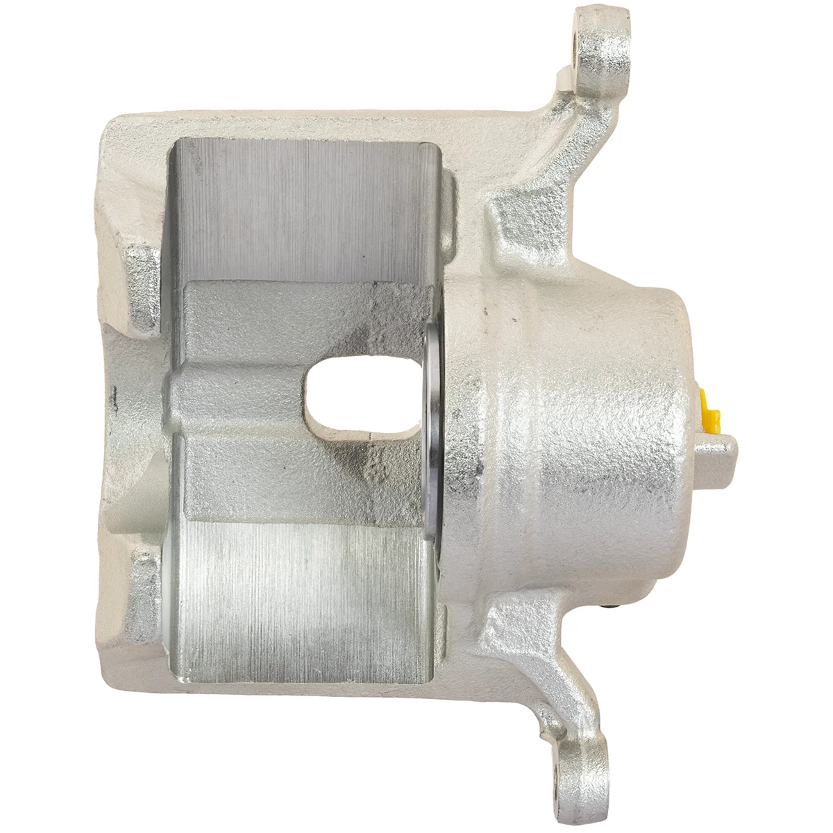 Jarrusatula sopii Honda