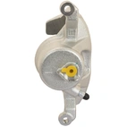 Jarrusatula sopii Honda