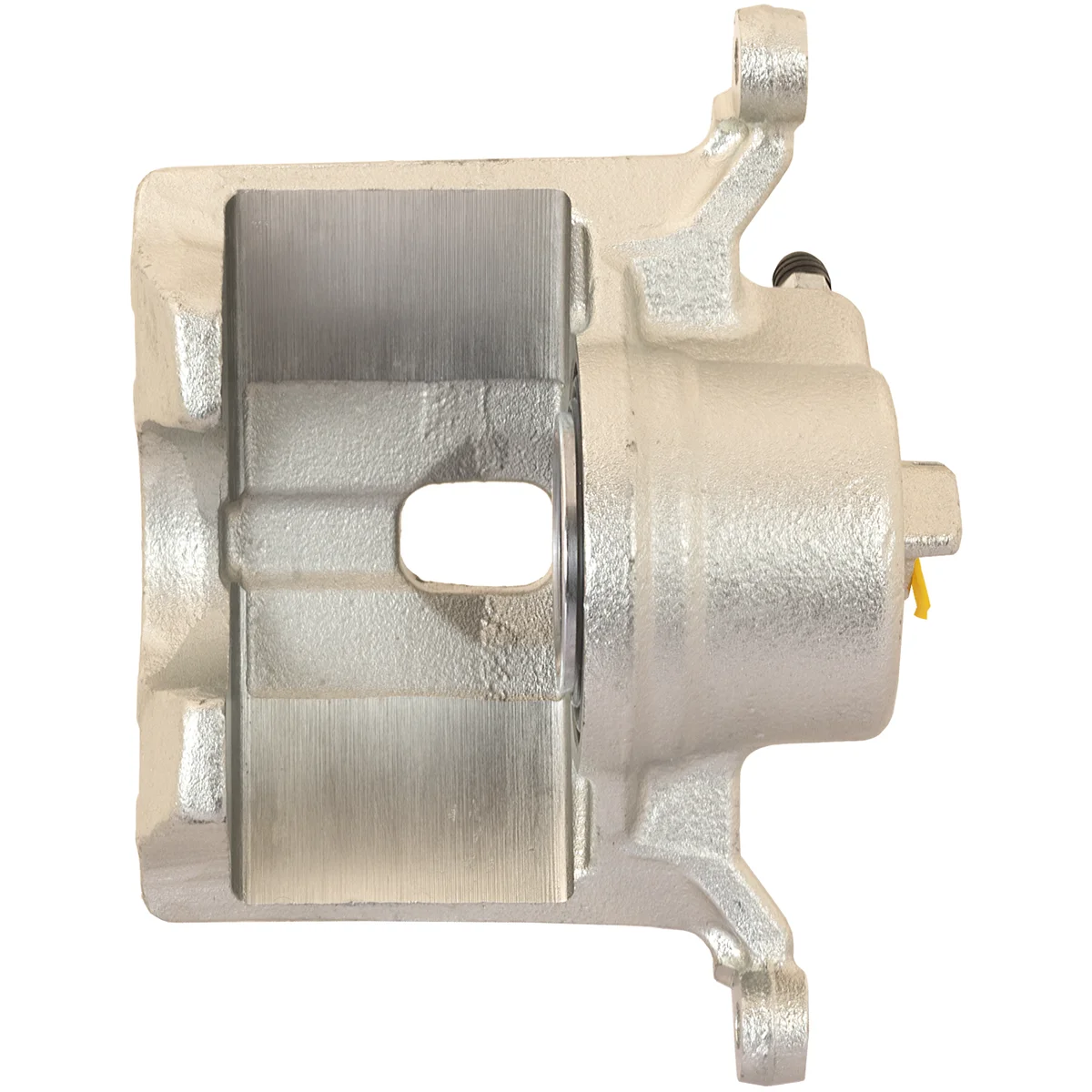 Jarrusatula sopii Honda