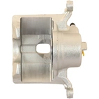 Jarrusatula sopii Honda