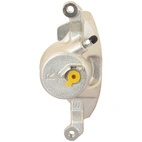 Jarrusatula sopii Honda