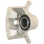 Jarrusatula sopii Honda