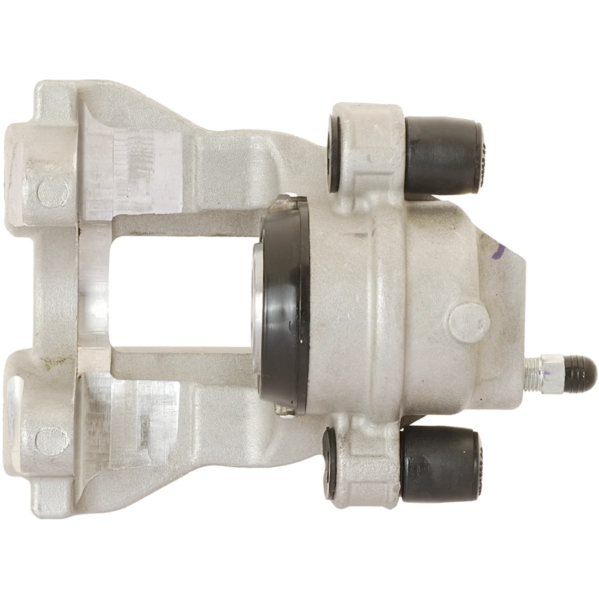 Jarrusatula sopii Mercedes