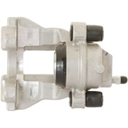 Jarrusatula sopii Mercedes