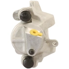 Jarrusatula sopii Mercedes