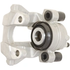 Jarrusatula sopii Mercedes