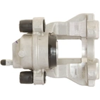 Jarrusatula sopii Mercedes