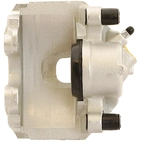 Jarrusatula sopii Ford