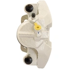 Jarrusatula sopii Ford