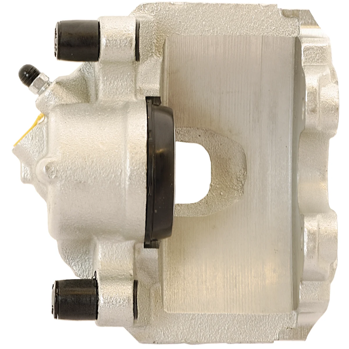 Jarrusatula sopii Ford