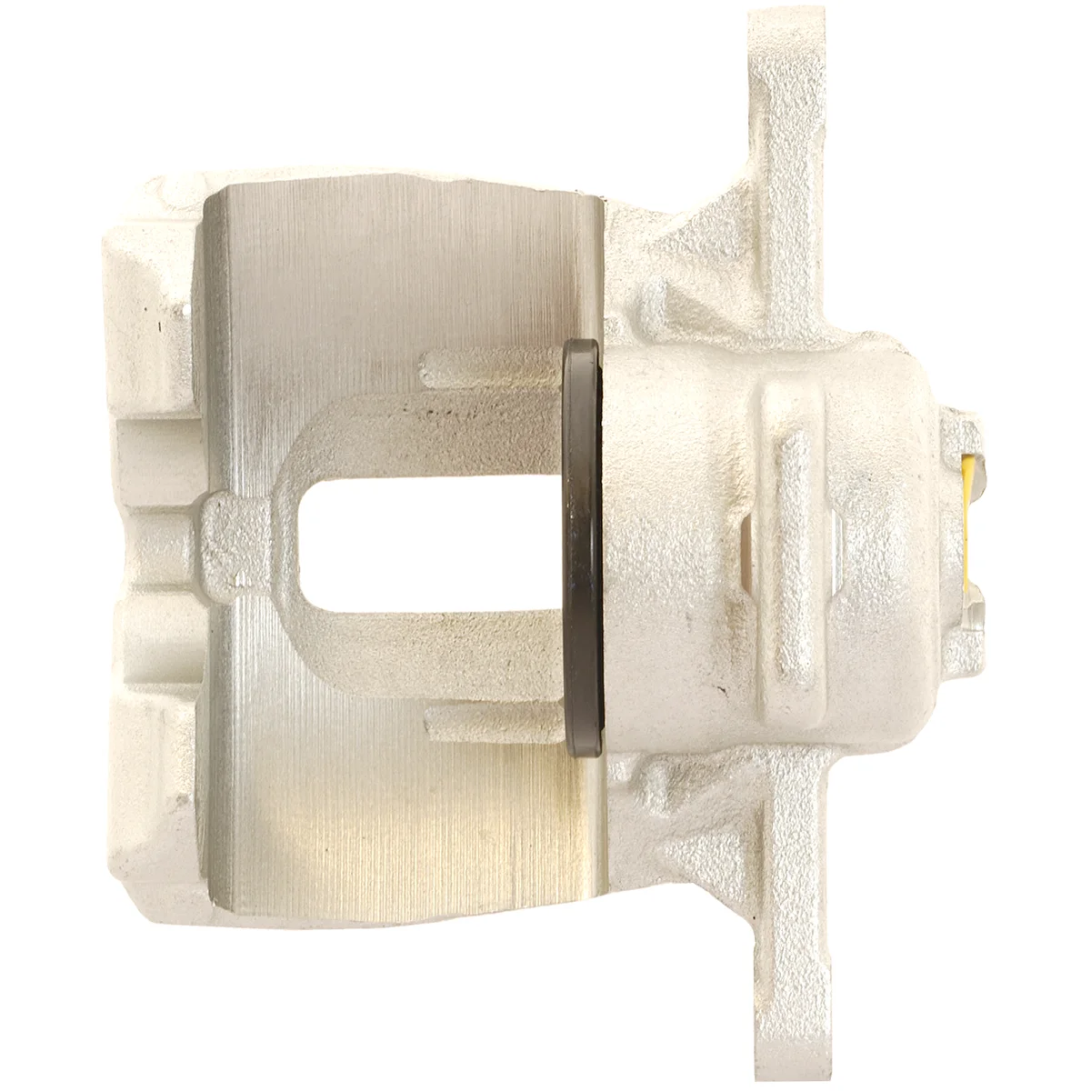 Jarrusatula sopii Ford