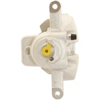 Jarrusatula sopii Ford