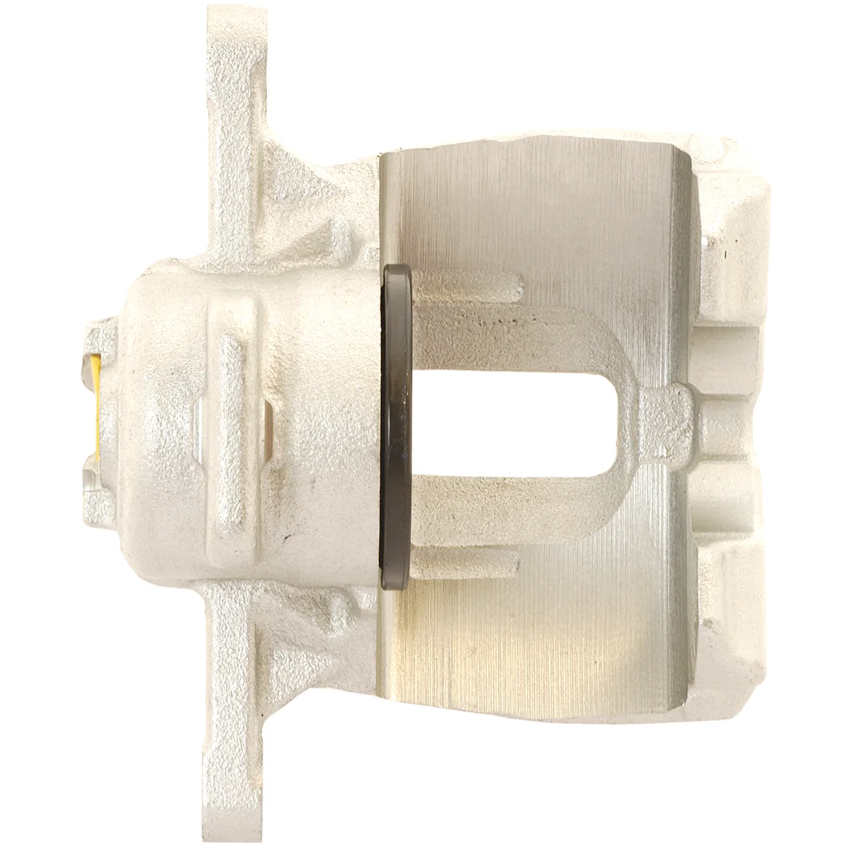 Jarrusatula sopii Ford