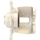 Jarrusatula sopii Ford