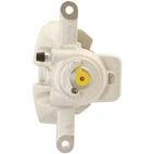 Jarrusatula sopii Ford