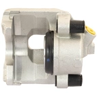 Jarrusatula sopii Fiat