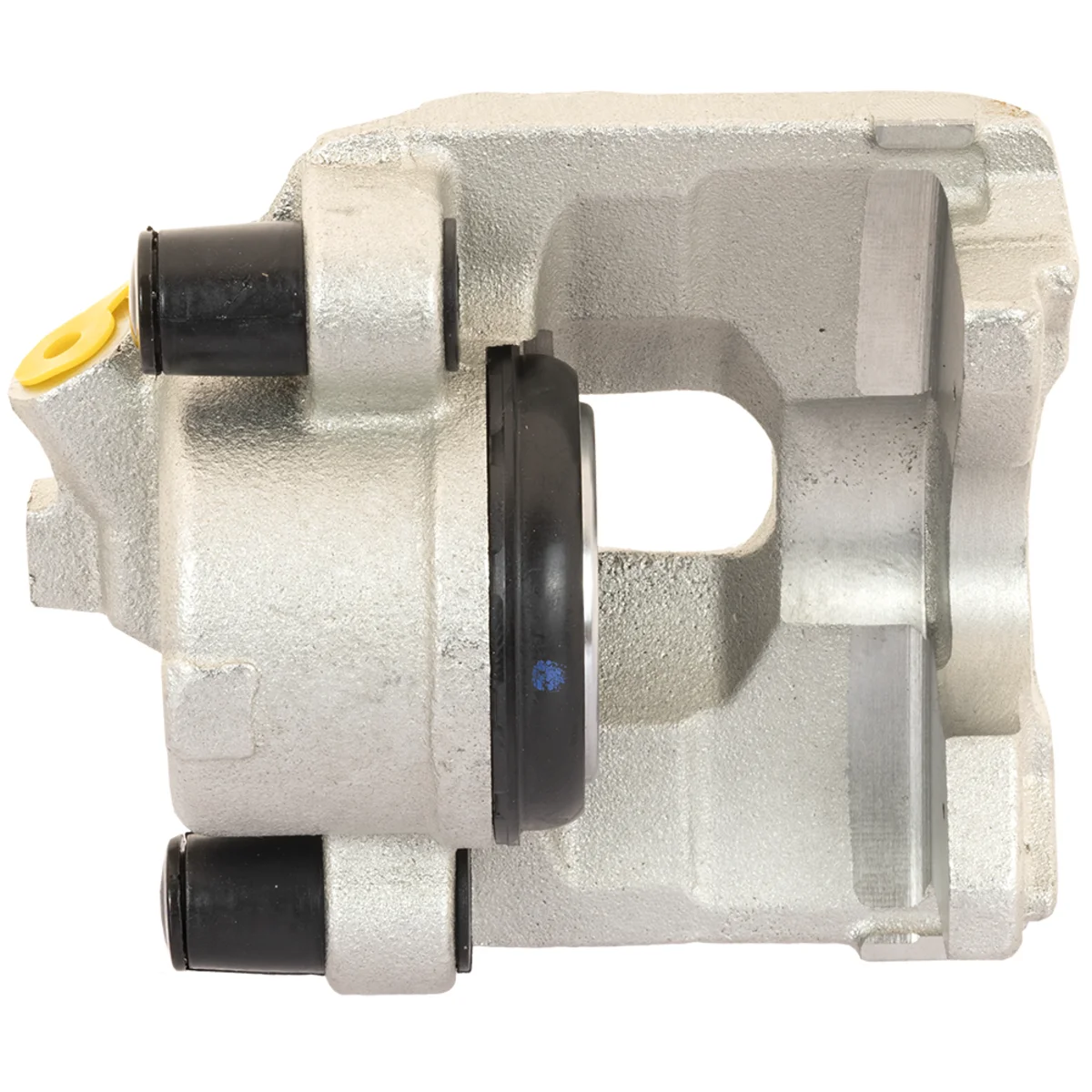 Jarrusatula sopii Fiat