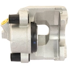 Jarrusatula sopii Fiat