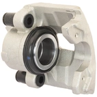 Jarrusatula sopii Fiat