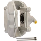 Jarrusatula sopii Mercedes