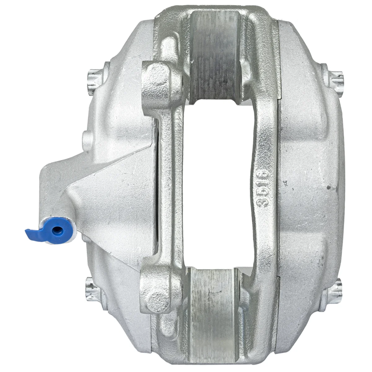 Jarrusatula sopii Mercedes