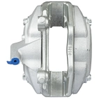 Jarrusatula sopii Mercedes