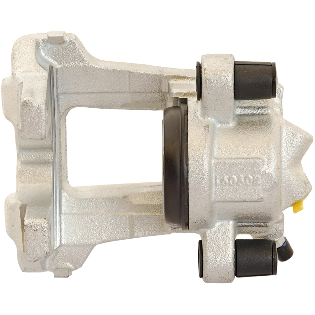 Jarrusatula sopii BMW