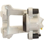 Jarrusatula sopii BMW