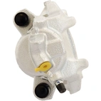 Jarrusatula sopii BMW