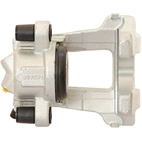 Jarrusatula sopii BMW