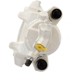 Jarrusatula sopii BMW