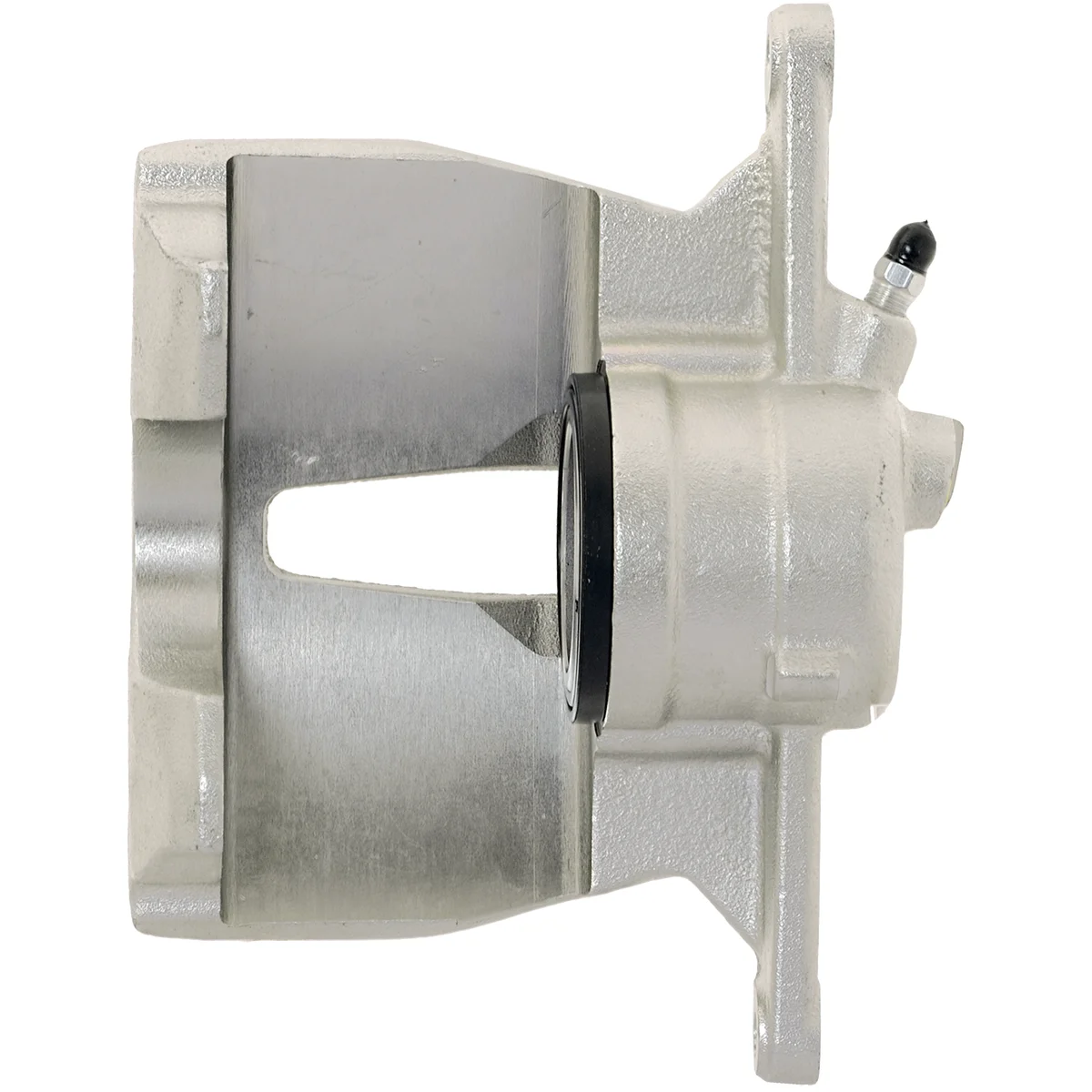 Jarrusatula sopii Seat / VW