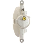 Jarrusatula sopii Seat / VW