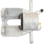 Jarrusatula sopii Nissan