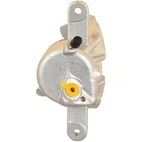 Jarrusatula sopii Nissan