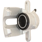 Jarrusatula sopii Nissan