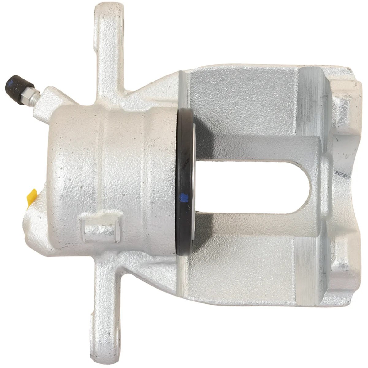 Jarrusatula sopii Nissan