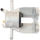 Jarrusatula sopii Nissan