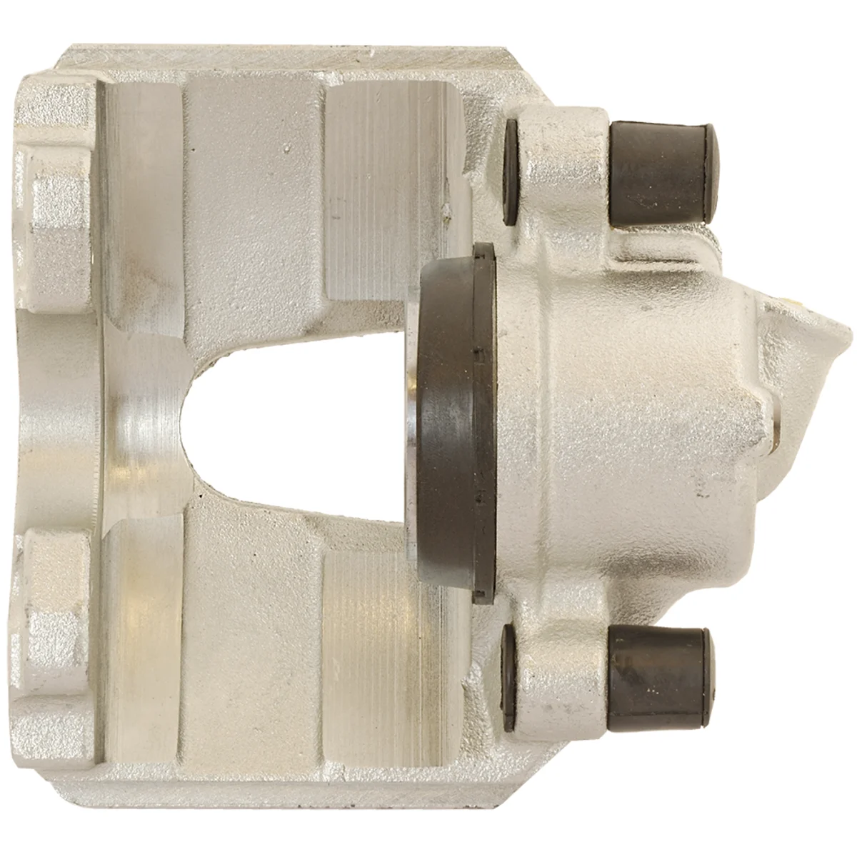 Jarrusatula sopii Ford