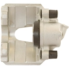 Jarrusatula sopii Ford