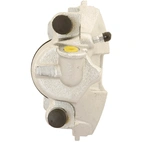 Jarrusatula sopii Ford