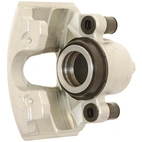 Jarrusatula sopii Ford