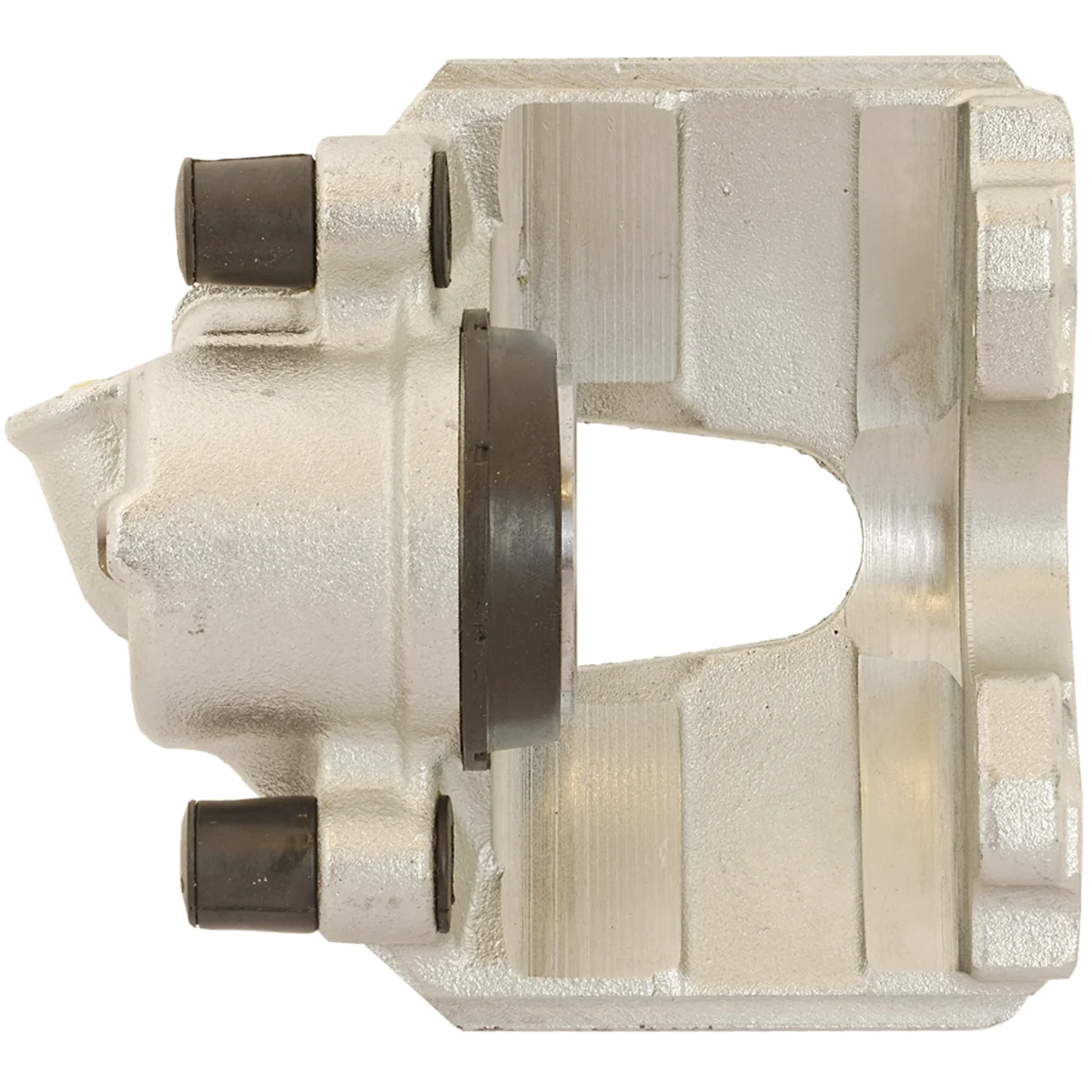 Jarrusatula sopii Ford