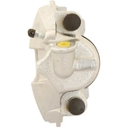 Jarrusatula sopii Ford