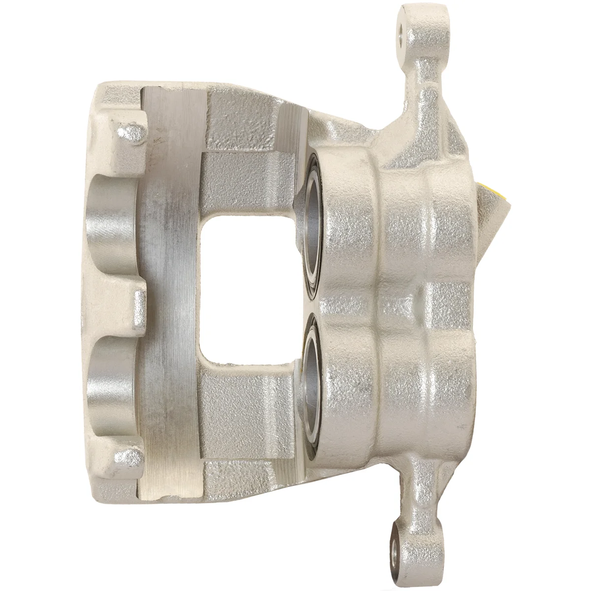 Jarrusatula sopii Ford